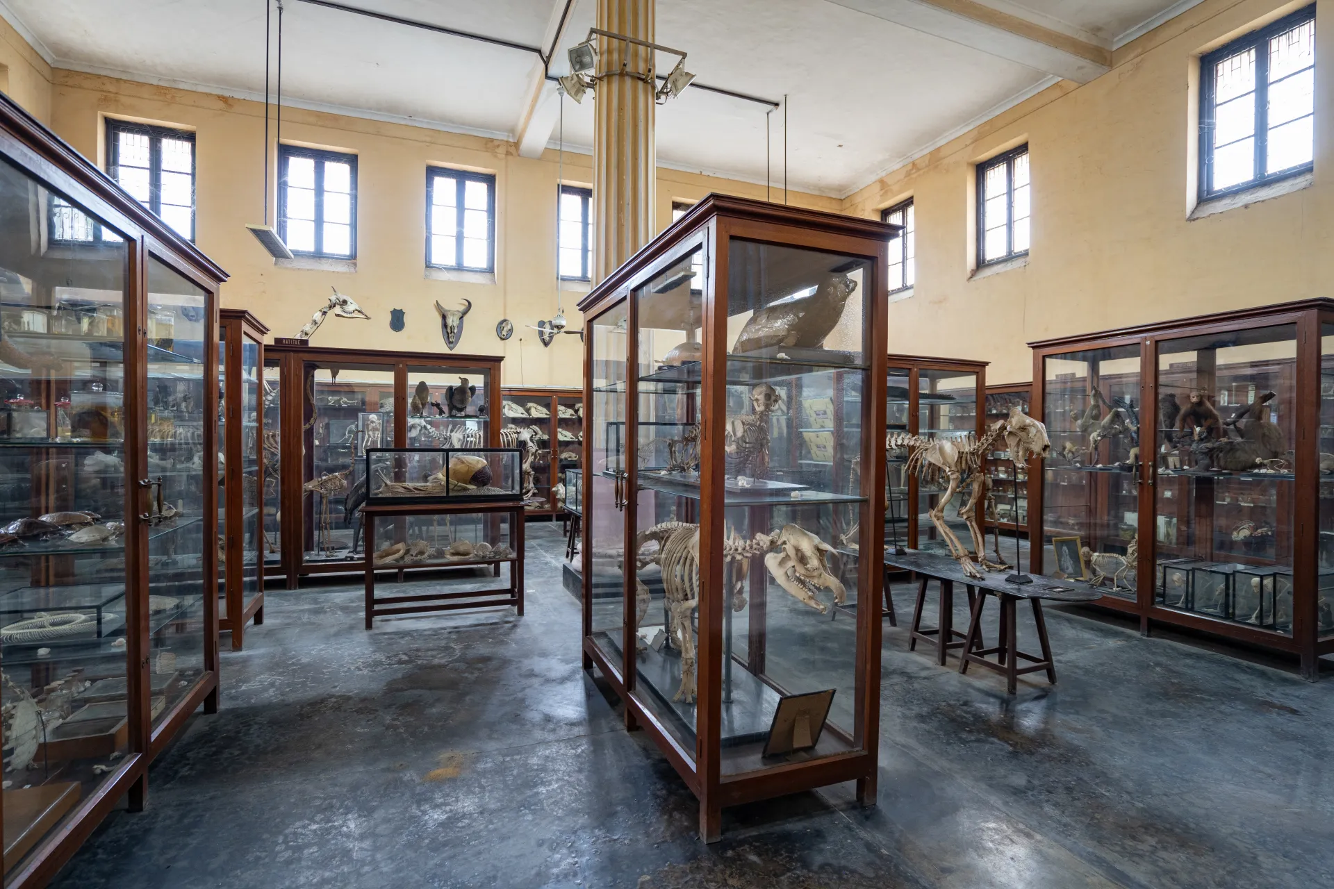 interior1